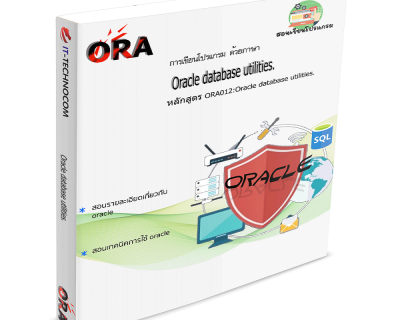 ORA012:Oracle Database Utilities.